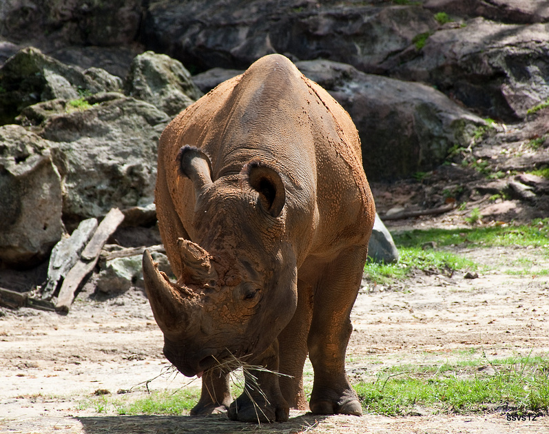 p697468104-4.jpg